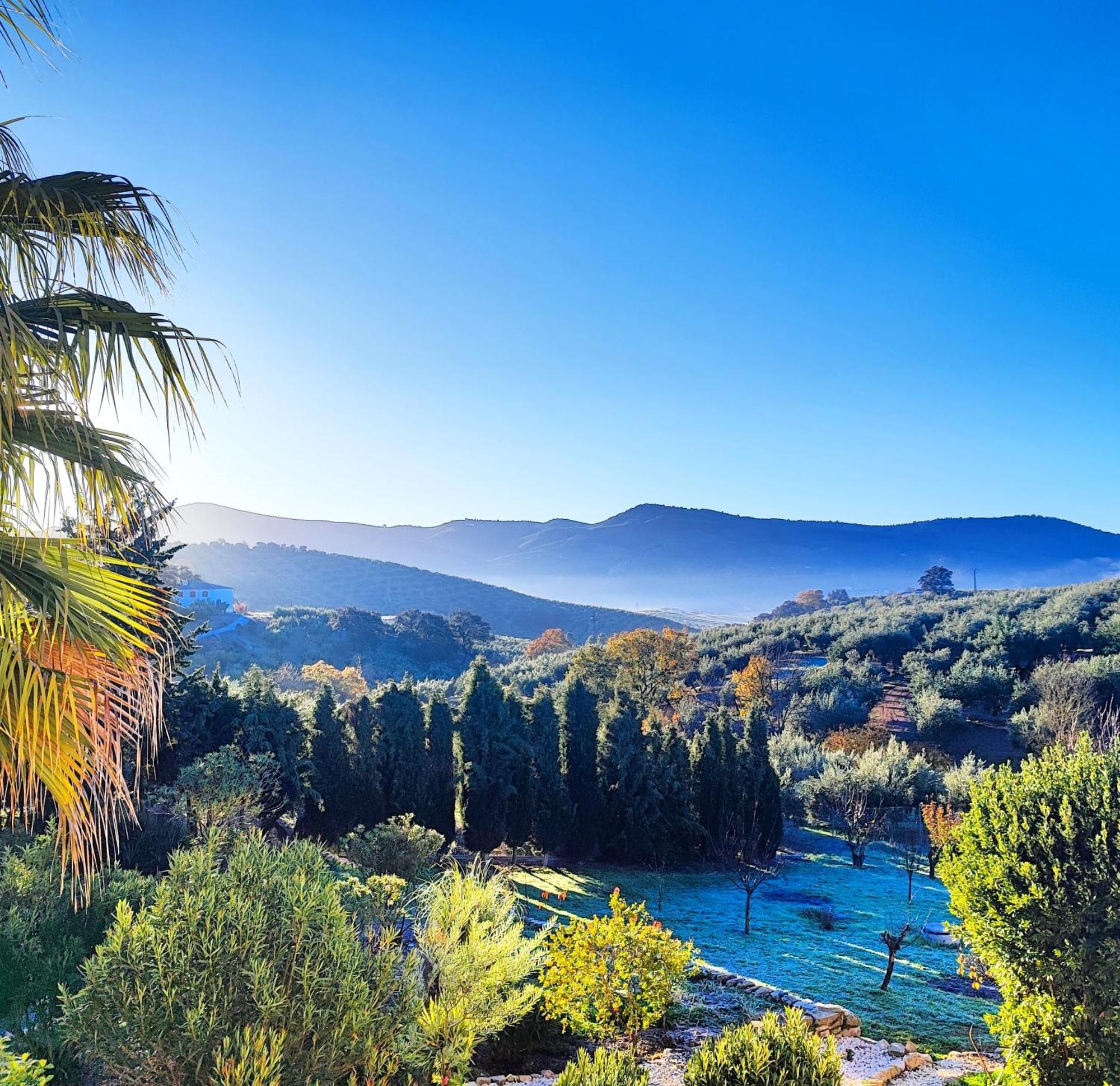 Cortijo Pennymaria Poolside Near With Stunning Views Appartement *