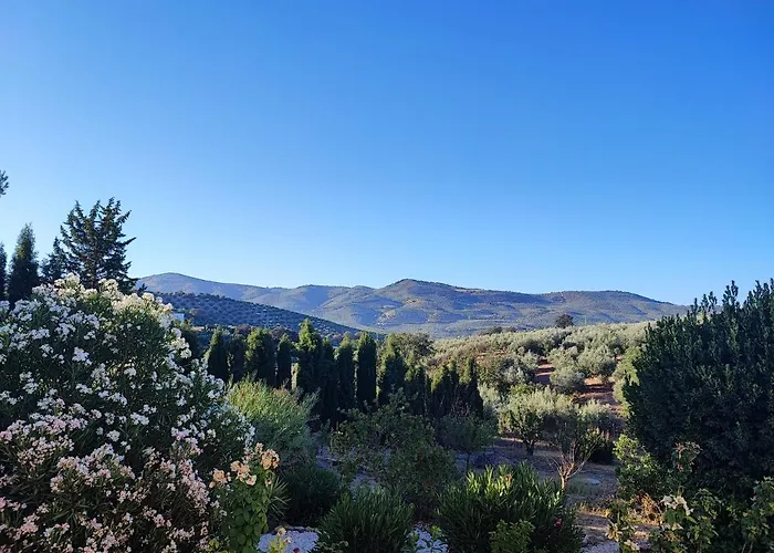Cortijo Pennymaria Poolside Apartment Near Montefrio With Stunning Views