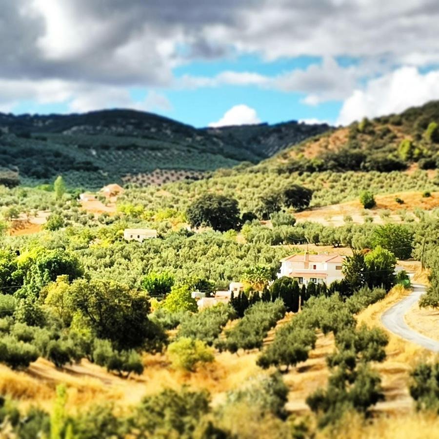 Apartment Cortijo Pennymaria Poolside Near With Stunning Views
