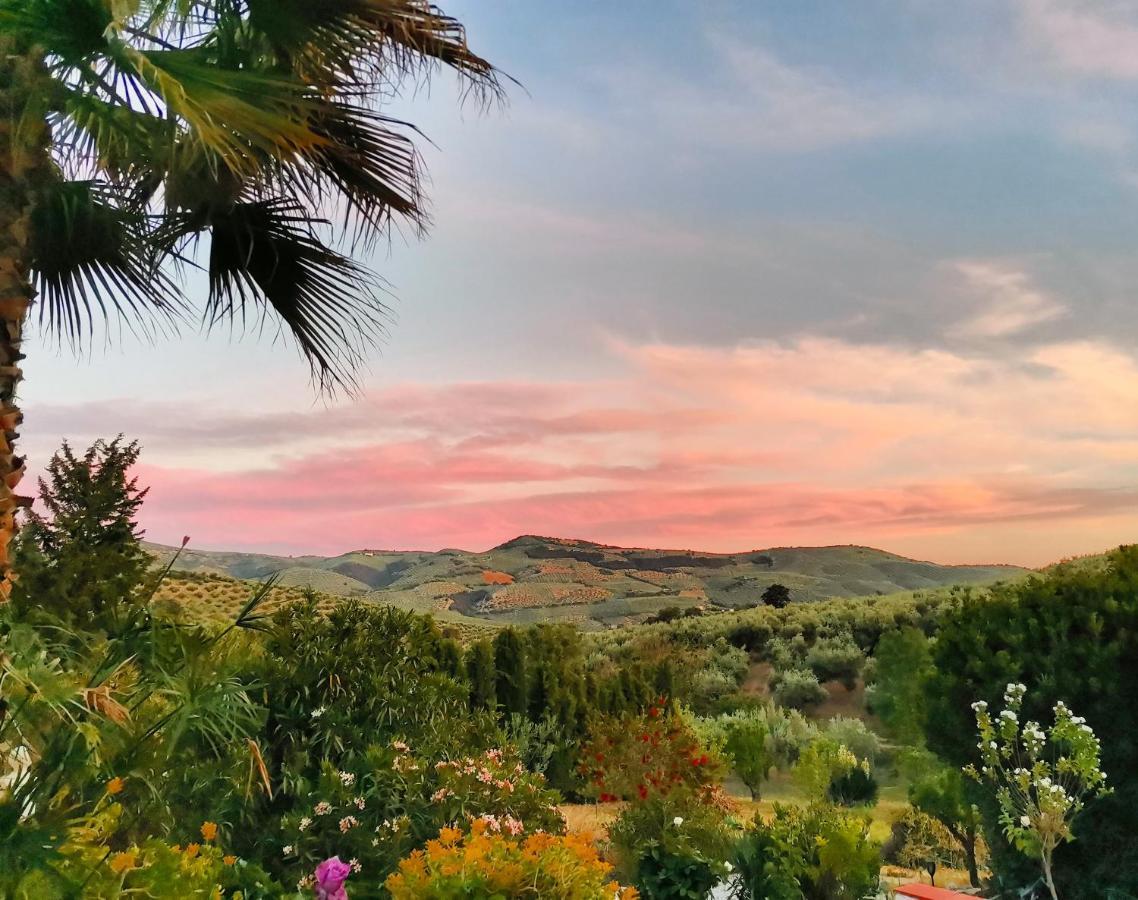 Cortijo Pennymaria Poolside Near With Stunning Views *